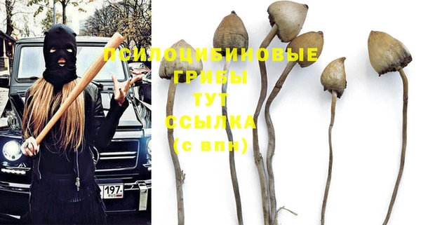 трава Богданович