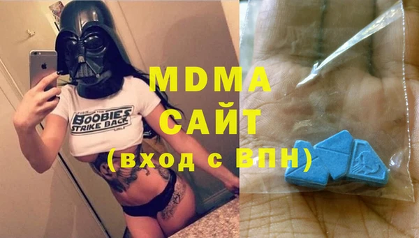 шишки Бородино