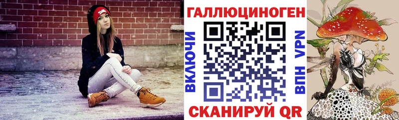Галлюциногенные грибы Psilocybine cubensis  Гусев 